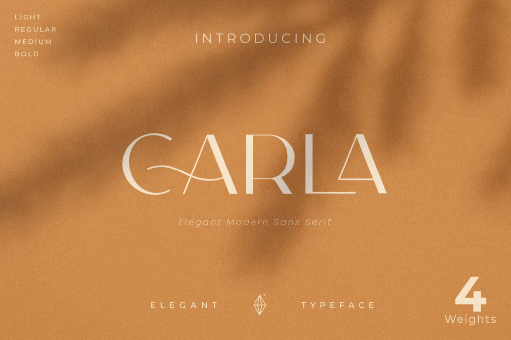 Шрифт Carla Sans - Elegant Typeface