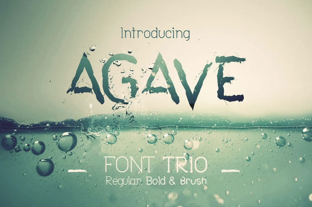 Шрифт Agave Font Trio