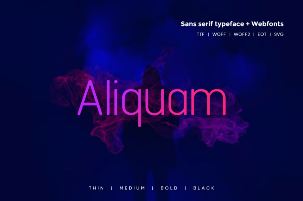 Шрифт Aliquam - Modern Typeface + WebFonts