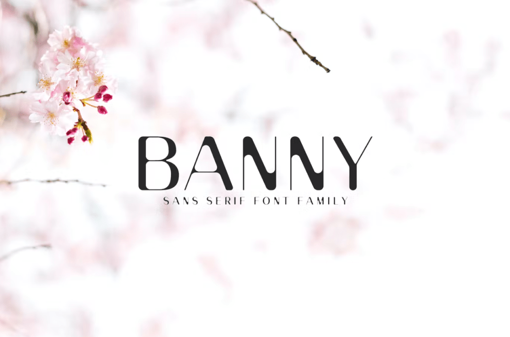 Шрифт Banny Sans Serif Font Family