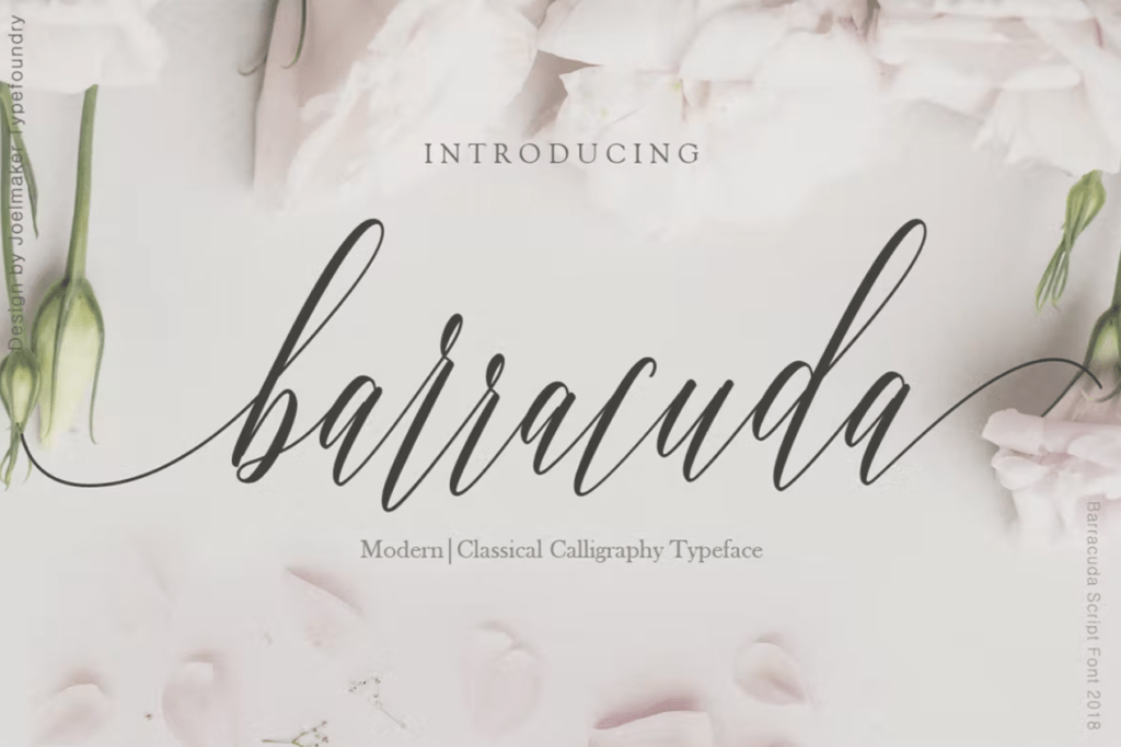 Шрифт Barracuda Script