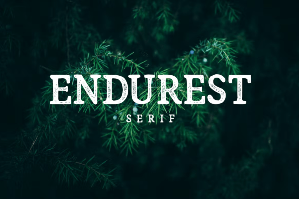 Шрифт Endurest Font