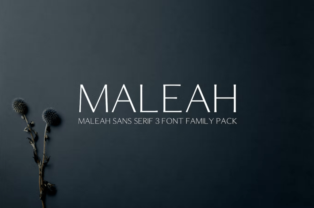 Шрифт Maleah Sans Serif Font Family Pack