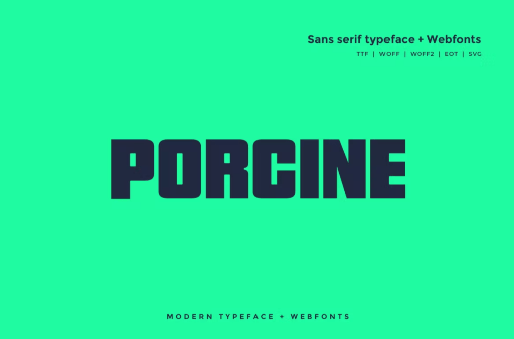 Шрифт Porcine - Modern typeface + WebFont