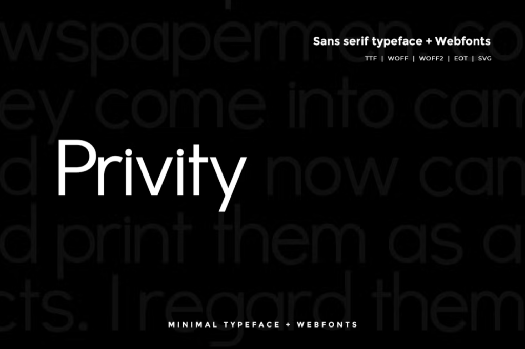 Шрифт Privity - Modern Typeface + WebFont