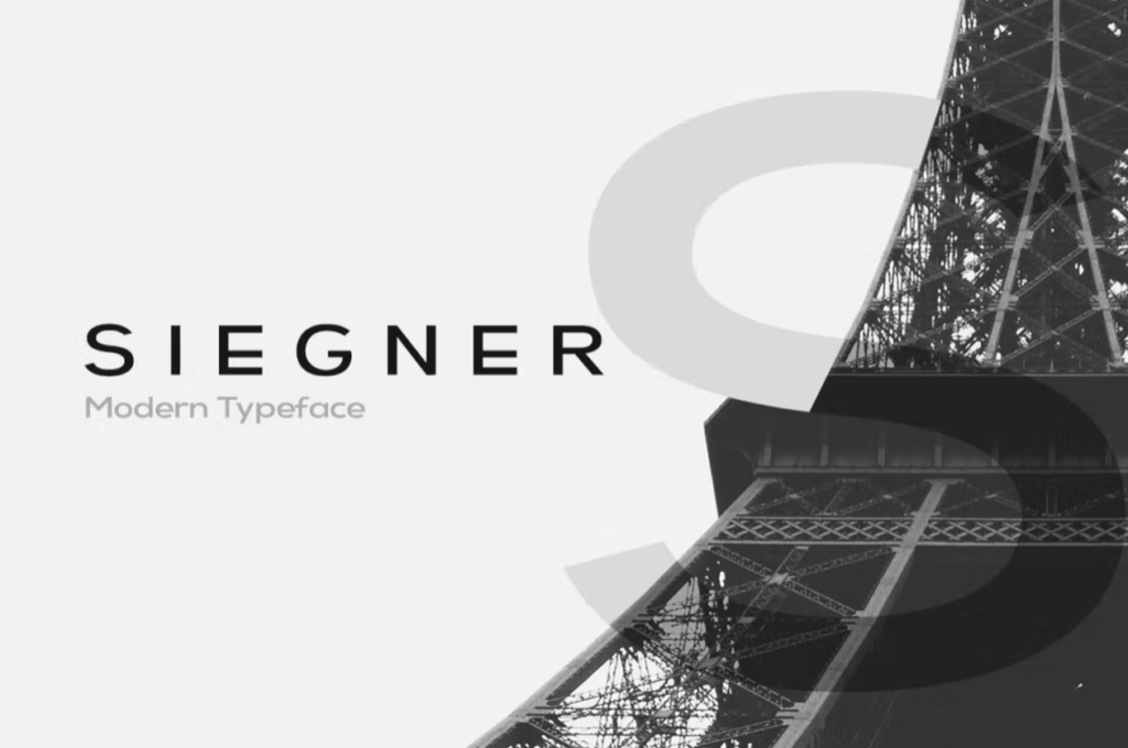 Шрифт SIEGNER - Modern Typeface + WebFonts