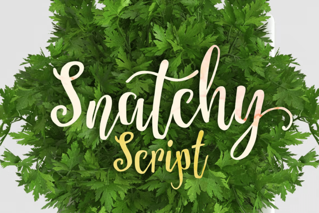 Шрифт Snatchy