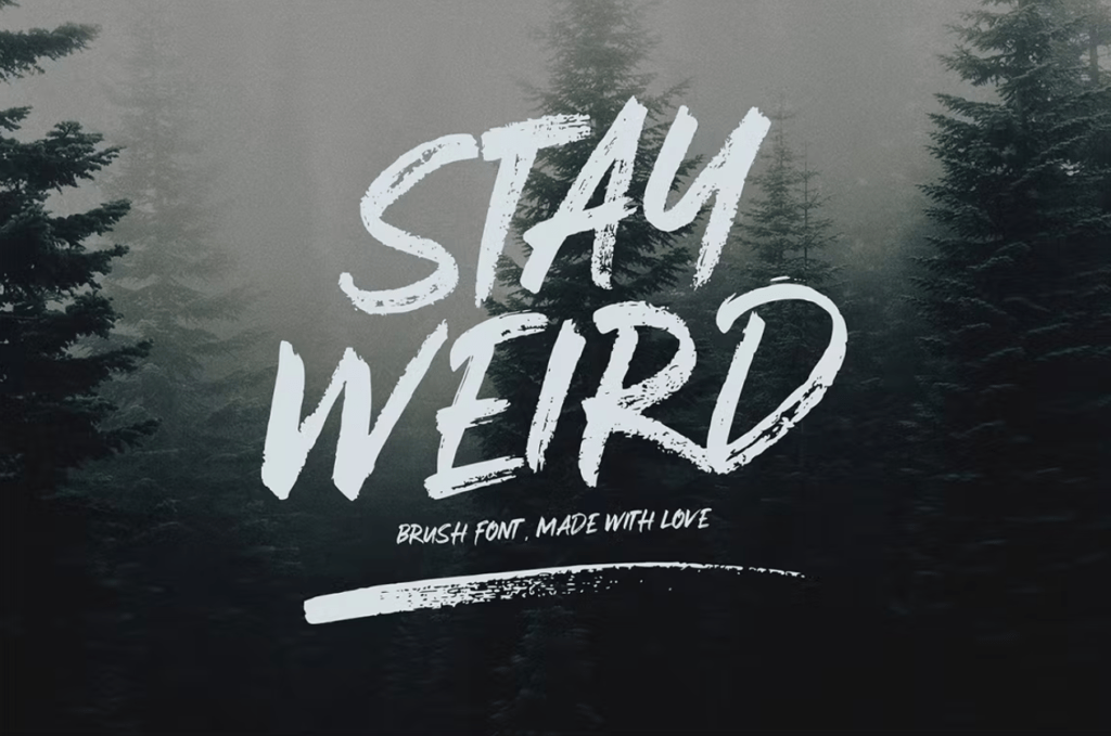 Шрифт Stay Weird - Brush Font + Swashes