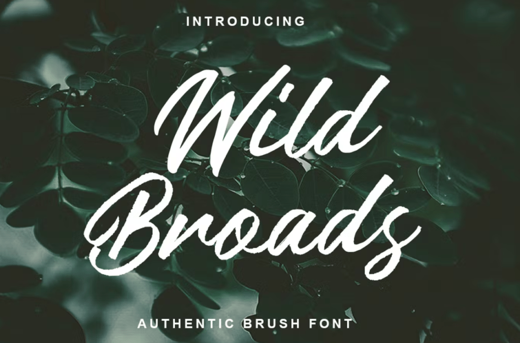 Шрифт Wild Broads - Authentic Brush Font